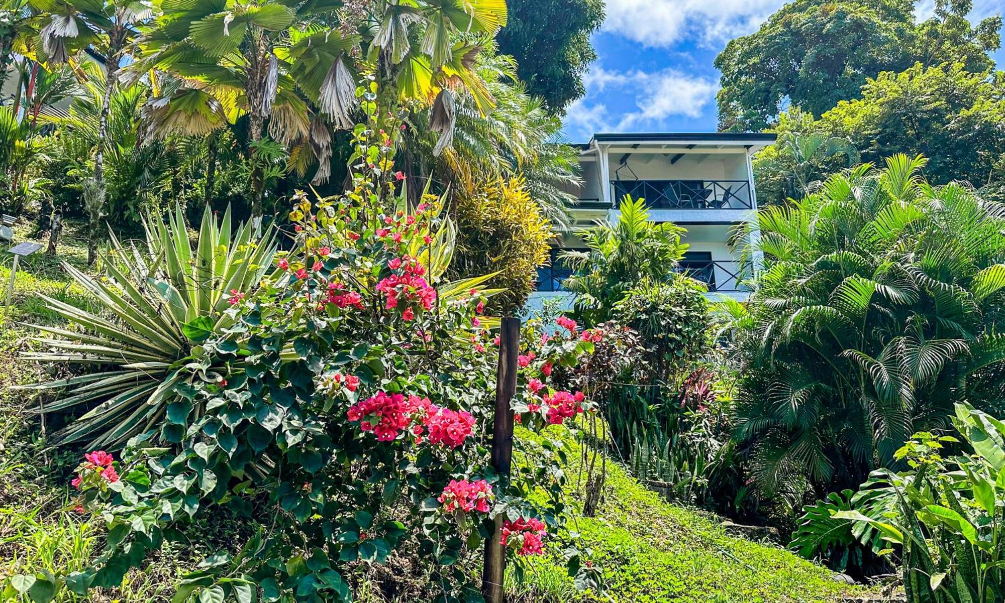 Villa Roca Boutique Resort & Suites - Adult Only Manuel Antonio Exterior foto